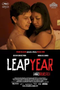 Affiche du film : Leap Year