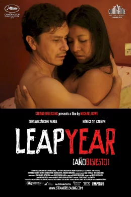 Affiche du film Leap Year