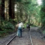 Photo du film : Stand by me