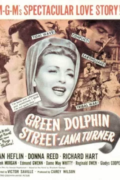 Affiche du film = Le pays du dauphin vert