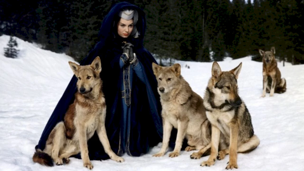 Photo du film : Le miracle des loups