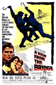 Affiche du film : Vu du pont