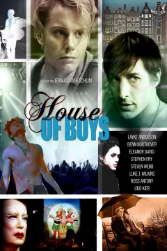 Affiche du film = House of Boys