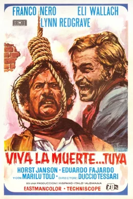 Affiche du film Companeros