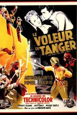 Affiche du film Le voleur de tanger