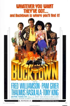 Affiche du film = Bucktown