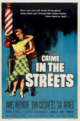 Affiche du film Face au crime
