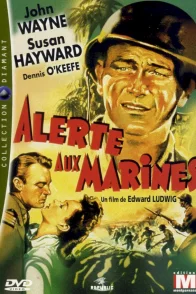 Affiche du film : Alerte aux marines