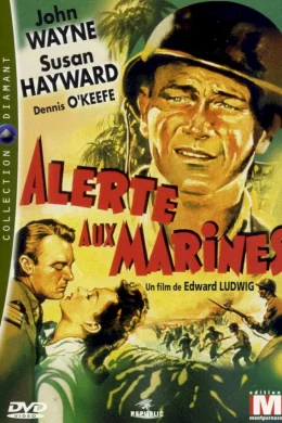 Affiche du film Alerte aux marines