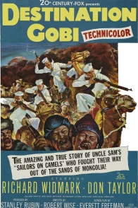 Affiche du film : Destination gobi