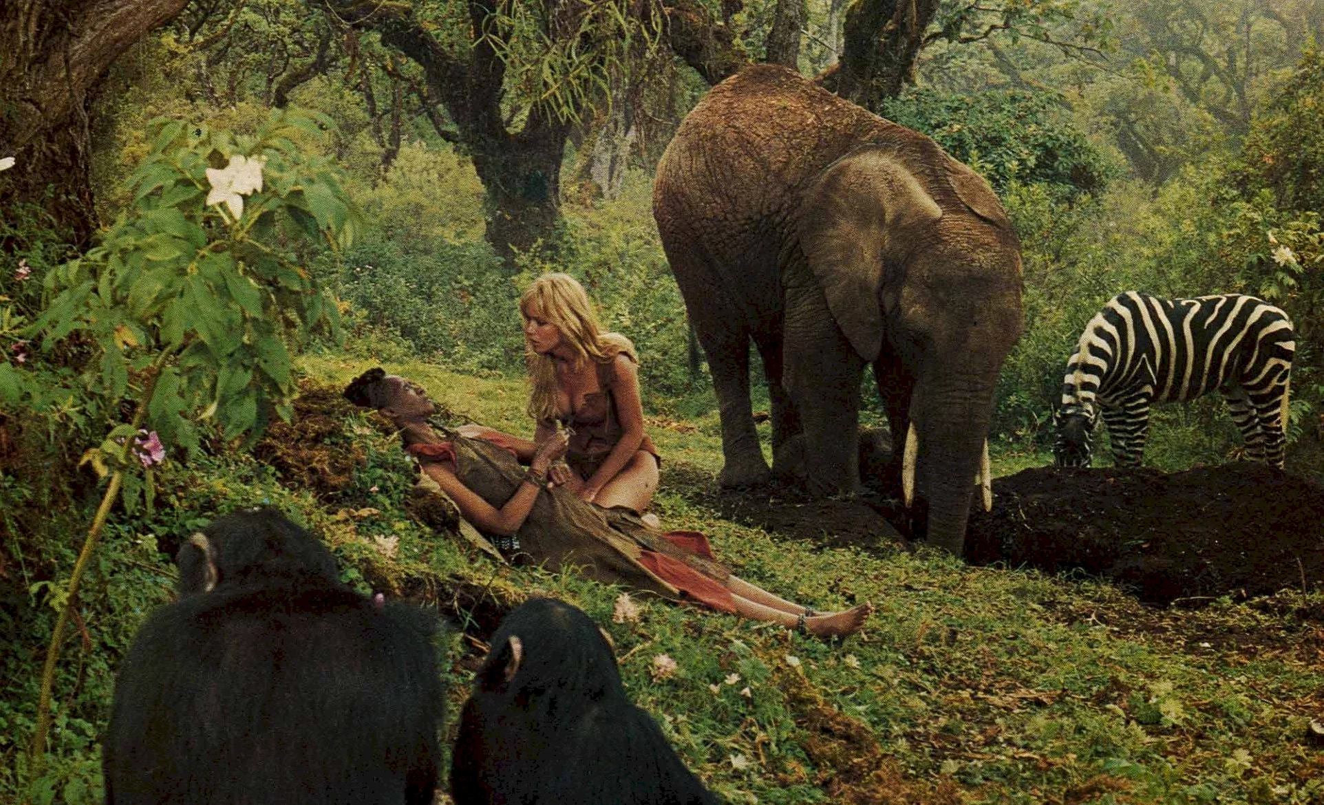 Photo du film : Sheena reine de la jungle