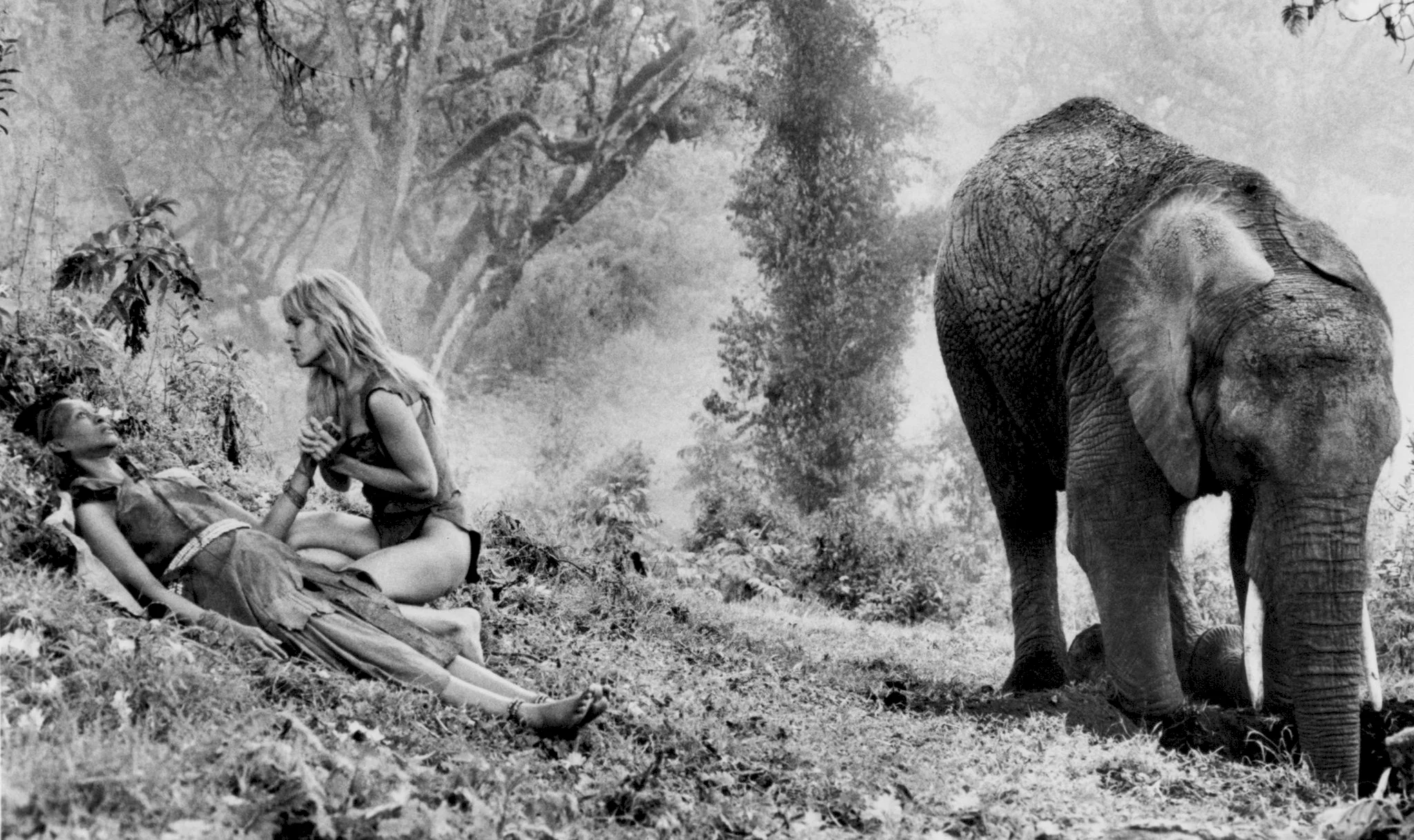Photo 14 du film : Sheena reine de la jungle