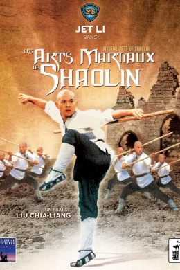 Affiche du film Les arts martiaux de shaolin