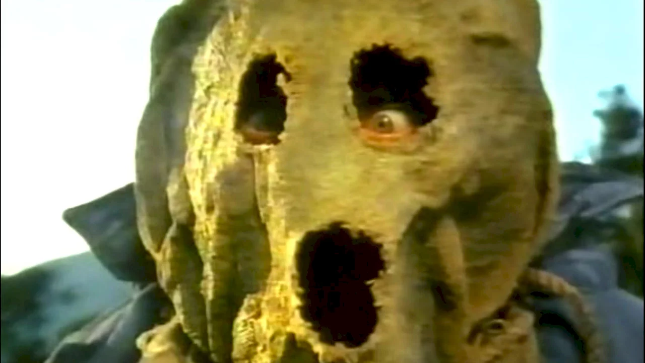Photo du film : The scarecrow