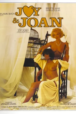 Affiche du film Joy et Joan