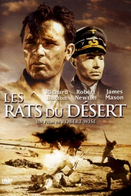 Affiche du film Les rats du desert