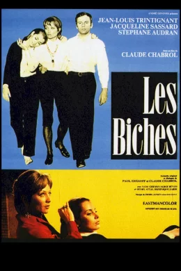 Affiche du film Les biches