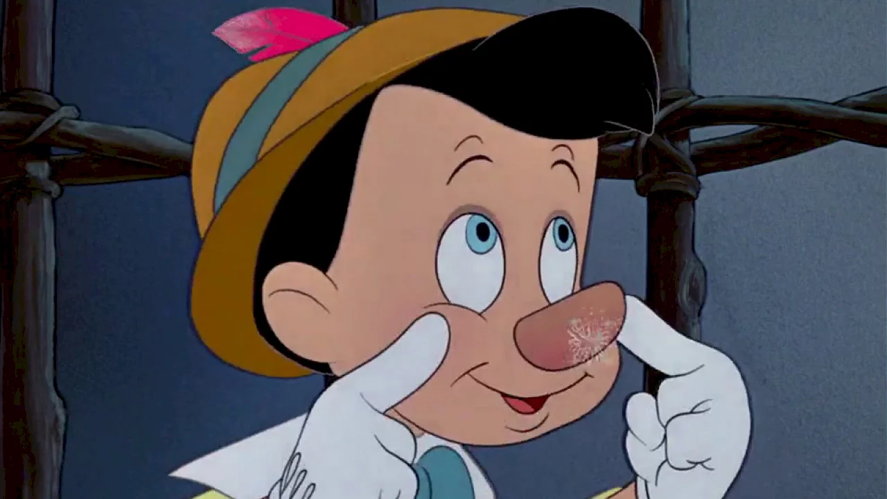 Photo 11 du film : Pinocchio