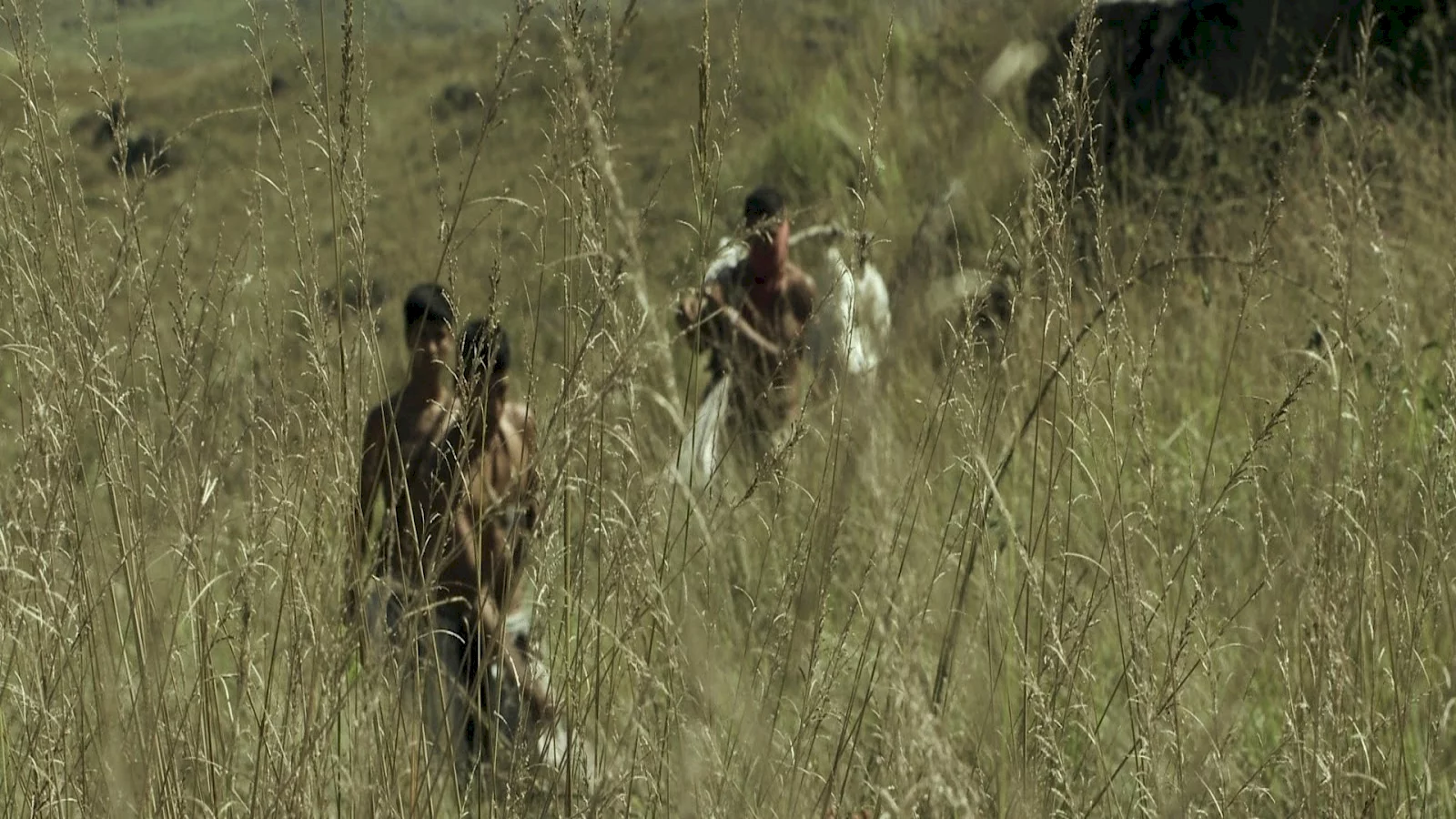 Photo 2 du film : Los salvajes