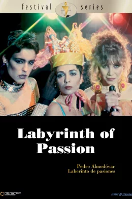 Affiche du film Labyrinthe des passions