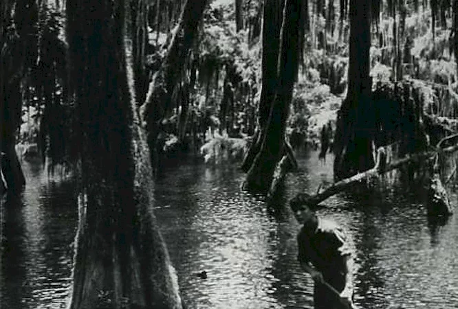 Photo du film : Louisiana story