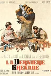 Affiche du film : La dernière grenade