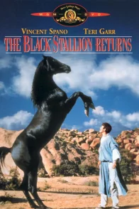 Affiche du film : Le retour de l'etalon noir