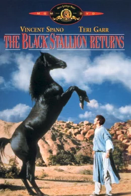 Affiche du film Le retour de l'etalon noir