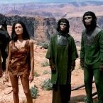 Photo du film : La planete des singes