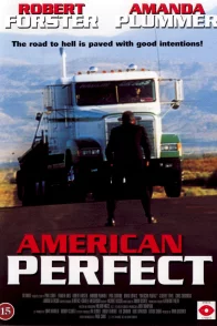 Affiche du film : American perfekt