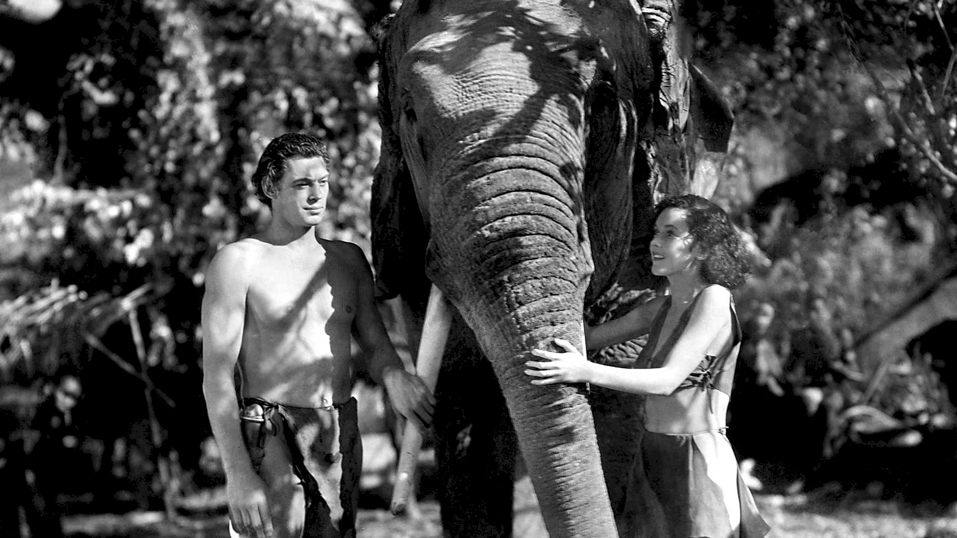 Photo 5 du film : Tarzan et sa compagne
