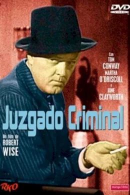 Affiche du film Criminal court