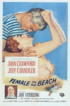 Affiche du film = La maison sur la plage