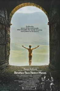Affiche du film : Francois et le chemin du soleil