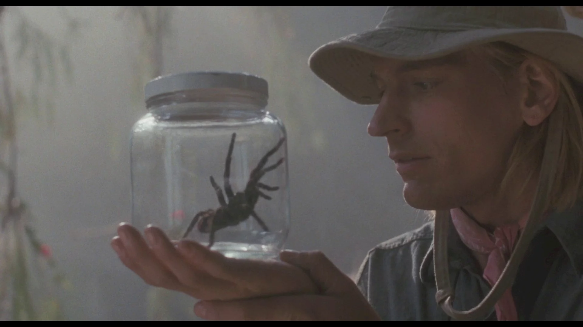 Photo 3 du film : Arachnophobie