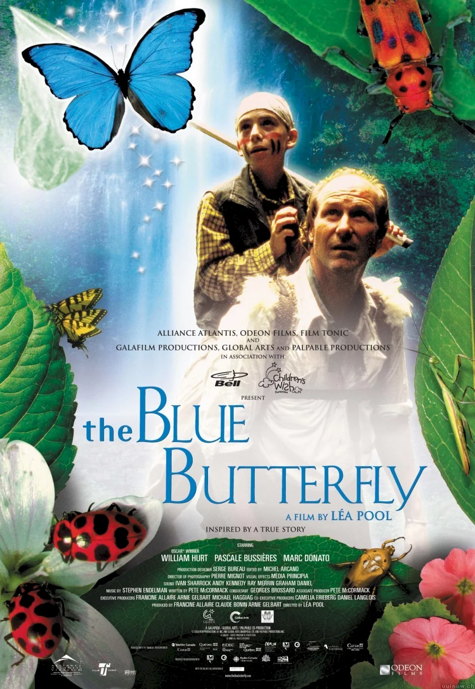Photo du film : Le papillon bleu