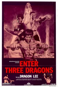 Affiche du film : Fire dragon