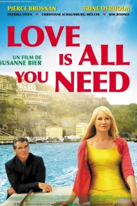 Affiche du film : All you need is love