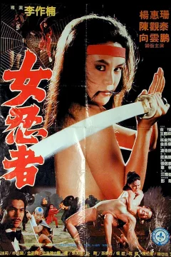 Affiche du film = Challenge the ninja