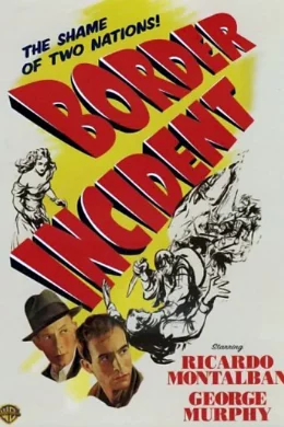 Affiche du film Incident de frontiere