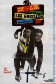 Affiche du film : Les gorilles