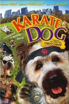 Affiche du film = Karate dog