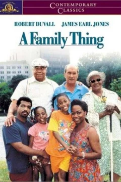 Affiche du film = Family thing