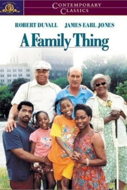 Affiche du film Family thing