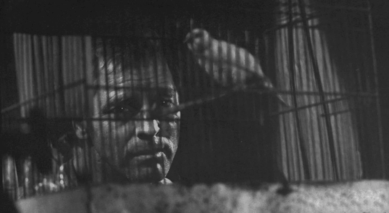 Photo du film : Le prisonnier d'alcatraz