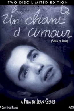 Affiche du film Chant d'amour