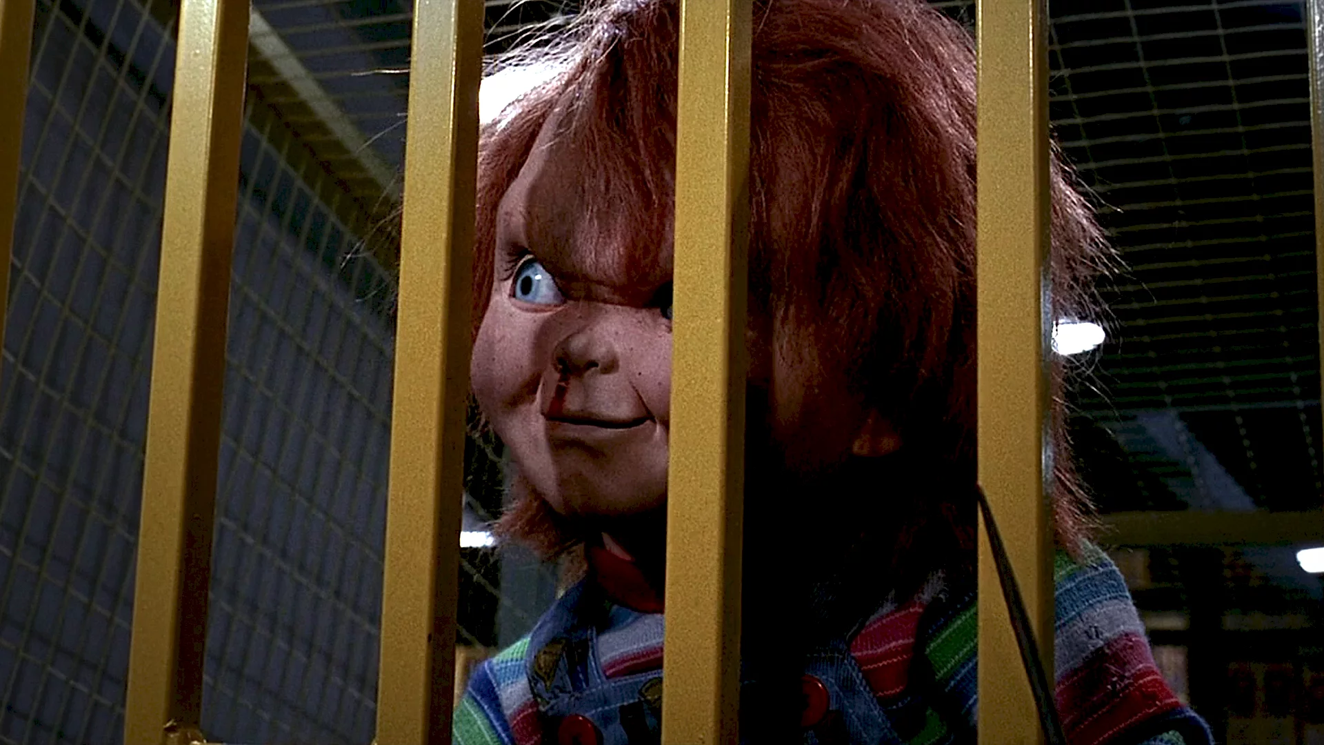 Photo 5 du film : Chucky la poupee de sang