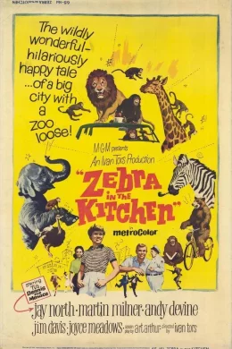 Affiche du film Kitchen
