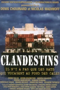 Affiche du film : Clandestins