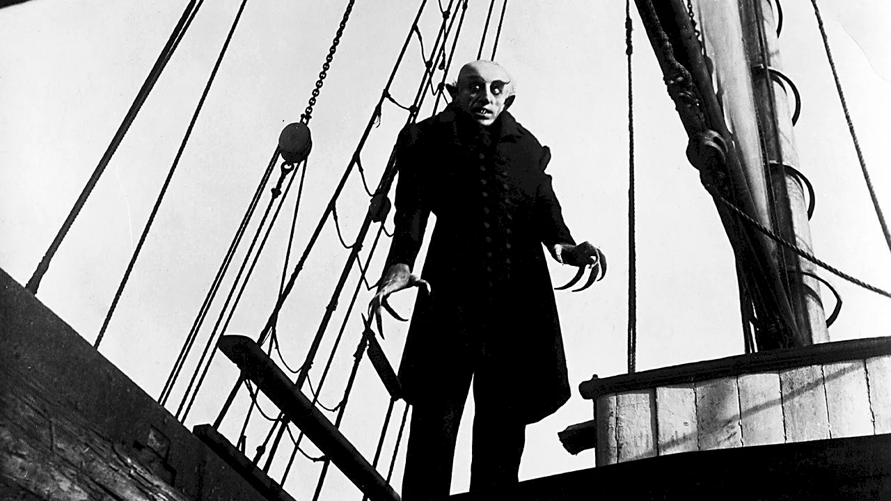 Photo 3 du film : Nosferatu le vampire